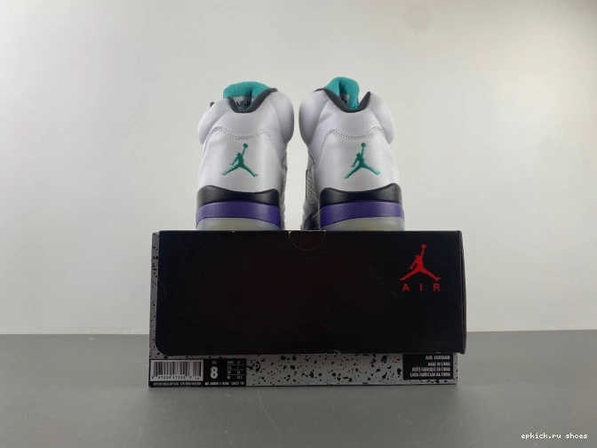 Cheap Air Grape 5 Jordan 136027-108 (2013) Retro 0817